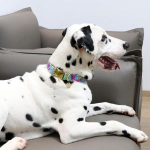 Adjustable Pet Dog Collars Classic Dog Collar With Quick Release Buckle