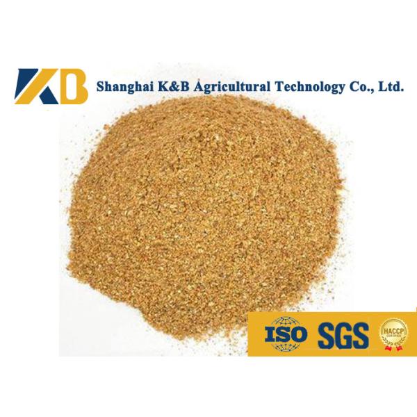 Quality Feed Grade Healthy Corn Protein Powder ISO HACCP Certificate For Fodder wholesale