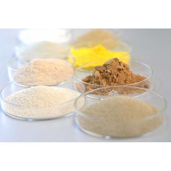 Quality Sensitive Individuals Wear Protective Gear Food Grade Enzymes Powder/Liquid for Temperature Range 30C-70C wholesale