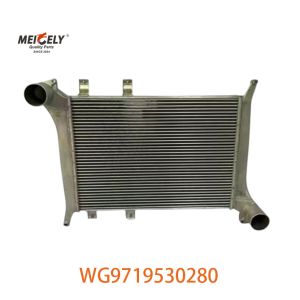 OEM WG9719530280 For Howo Intercooler Assembly WG9719530281