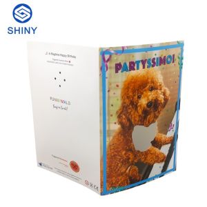 Popular Voice Record Music Greeting Card With Full 4C Color Printing