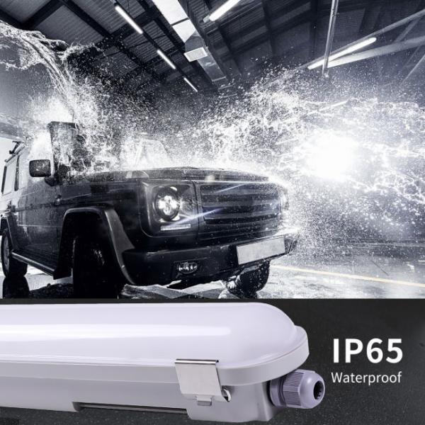Cool Storage Industrial IP66 IK10 5FT 55W Tri-Proof Low Bay LED vapor tight Light Fixtures
