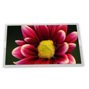 TL065FVMM50 TFT 6.5 Rectangular screen Complete range of industrial screens Quality supplier