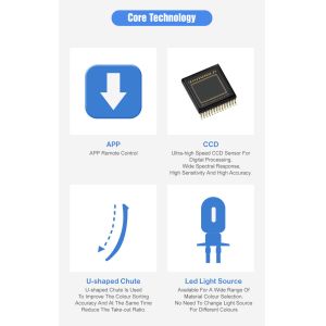 Wenyao Intelligent Walnut Color Sorter Machine Rice Soya Naga Cashew Nut