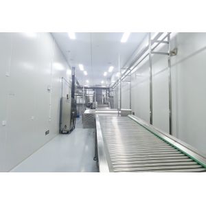 Smart Production Solutions For Industrial Pineapple Juice Processing Plants