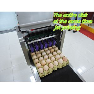 Poultry Egg Date Coding Machine Automatically Updated With LCD Touching Screen