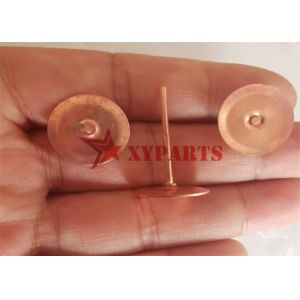 20 Mm Copper Dics Roofing Rivets Fix Fibre Cement Slates