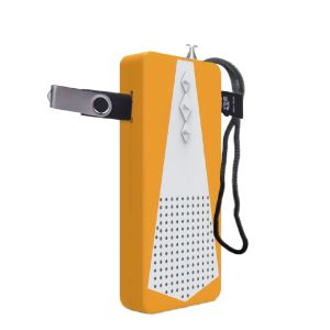 Lightweight USB FM Radio Receiver with Built-In Antenna 88-108MHz Frequency Range 120g Weight OEM Color Support