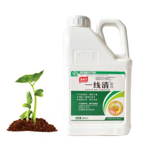 Organic Soil Conditioner Fertilizer For Plants And Crops