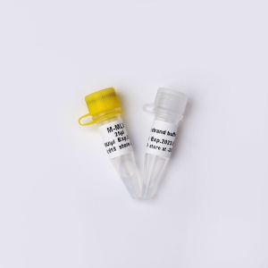 Cheap M-MLV Reverse Transcriptase PCR Reagents R1042 for sale