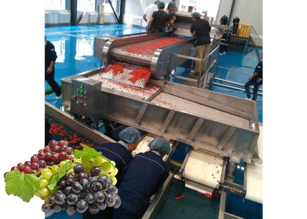 Quality Concentrated  Grape Juice Processing Line / Fruit Juice Processing Equipment wholesale