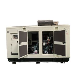 Cheap Electrical Start 250kw SINOTRUK T12D Natural Gas Generator Set 250kva Power Supply for sale