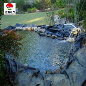 Waterproof HDPE Geomembrane for Fish Pond Projects 0.2mm-3mm Thickness