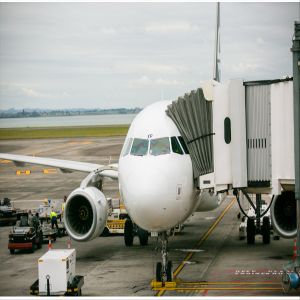 DDU DDP From China To Nigeria International Air Freight Forwarder