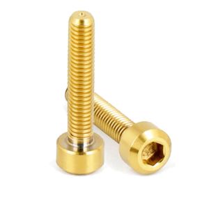 DIN Standard Titanium Precision Parts Gold Torx Bicycle Titanium Bolt