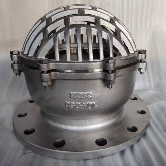 Stop Structure Flange End Ductile Cast Iron Accessory Suction Foot Valve for