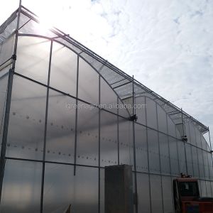 Single Layer Greenhouse Hydroponics System Wrought Iron Greenhouse With Film