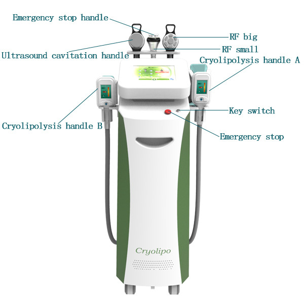 Quality cryolipolysis fat freezing / 2 cryo handles cryolipolysis machine wholesale