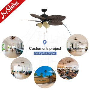 52 Inches Decorative Ceiling Fan With Light Kit Pull Chain Ac Motor