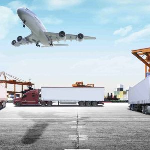 Affordable Full Container Ocean Freight Service from Shanghai Qingdao to York