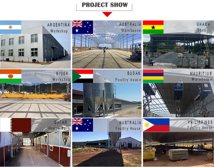 Customized Modern Prefab Steel Structure Workshop & Warehouse