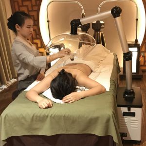 External Double Duct Laboratory Fume Extractor With Tripartite Efflux System