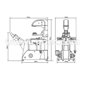 Infinity Objective Inverted Optical Microscope Phase Contrast Microscope Bright