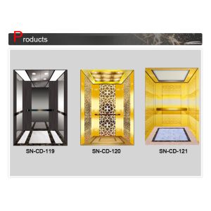 Stainless Steel Frame Cabin With Acrylic Lighting Panel For Passenger Elevator