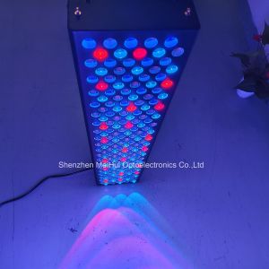 NIR Light Red Light Skin Therapy Devices For Home Use 1000W 9-Colour Spectrum