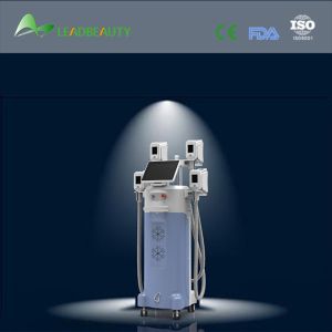 2015 multifunction lose weight 4 cryolipolysis heads 4 handls cryolipolysis