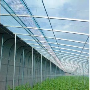 Custom Design and Double Arch Beam Greenhouse for Tomato/Cucumber Growing Large