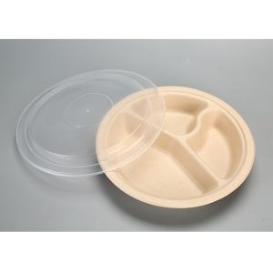 Clear disposable biodegradable pet fast food tray clamshell container white