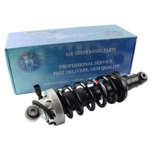 Auto Shock Absorber For Audi R8 Front Shock Damper 420412019AG