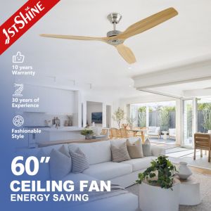 Installation Ceiling 60" Low Noise Ceiling Fan with Remote Control and Private