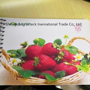 110*68*12mm Gloss/Matte Art Paper 2/S Coated for Offset Printing and Long