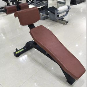 Befreeman Wholesale Gym Strength Exercise Bench Adjustable Incline Decline Bench