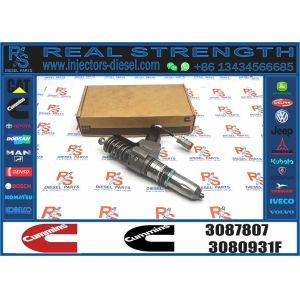 N14 Common Rail Fuel Injector 4307516N 3411767T 3407776 3087807 341176