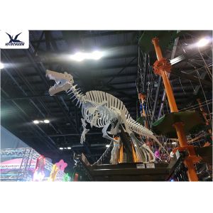 Playground Indoor Artificial Dinosaur Skeleton Replica Life Size Fiberglass