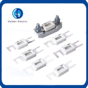 Customization Automobile Fuse and Fuse Holder 48VDC 125VAC 100A 175A 225A 355A