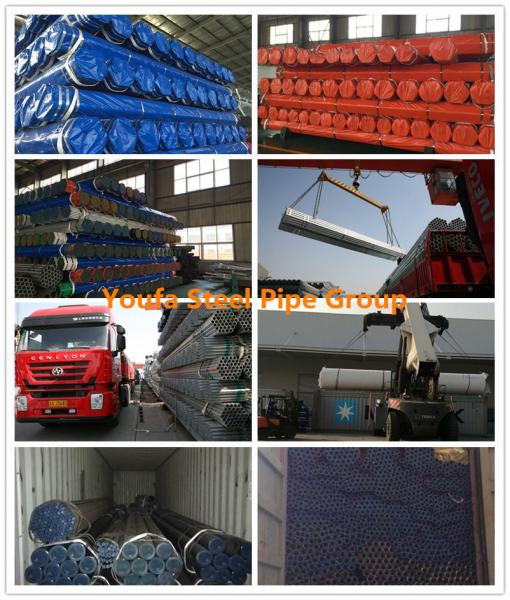 Hot Dipped Galvanized Hollow Section/ Pre Galvanized Hollow Section/ Hot Dipped Galvanized Rectangular Tube/ Pre Galvanized Rectangular Tube