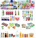 Custom Size Dairy Processing Plant Milk Processing Machine Low Consumption