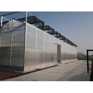 Cheap Multi Span Large Aluminium Greenhouse Span Width 9.6 / 10.8 / 12m Snow Load .45KN/m2 for sale