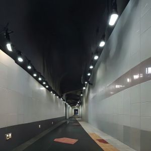 Easy Clean Exquisite Detailed Vitreous Enamel Panels for Fine Art