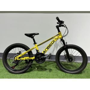 Customized MTB Mountain Bikes With 6 Speed 21 Gears / Shimano Derailleurs