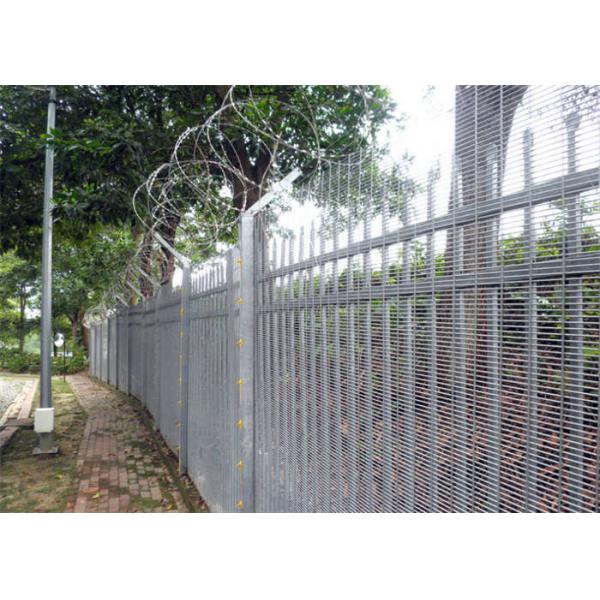 Quality Hot Dipped Galvanized Anti Climb 358 Mesh Fencing 4.4m 5.2m Height wholesale
