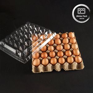 PET Plastic Egg Tray Packaging 30 Hole Cartons In S/M/L Sizes With Paper Bottom