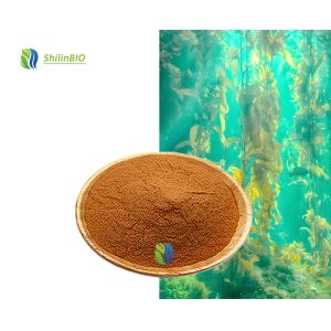 China 10% Fucoxanthin Powder Pure CAS 3351-86-8 Food Grade Brown Algae Sea Weed Extract on sale