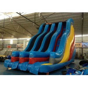 Large Commercial PVC Tarpaulin Adults Inflatable Hippo Slide Approved CE