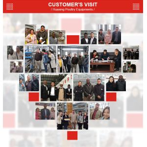 Battery Day Old Chicks Cage Breeding Chicken Cage For Layer Chick