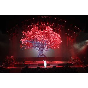 Transparent Holographic Projection Screen Polyamide Material 3D Hologram Show